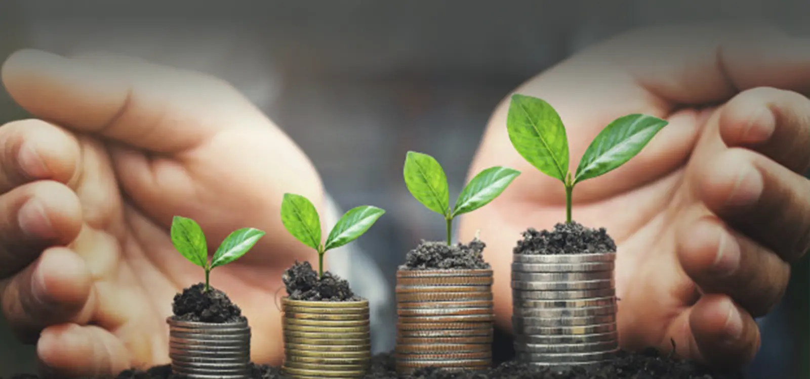 Long-term Institutional Investor